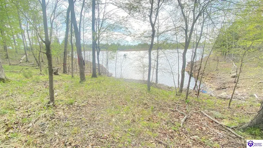 370 Cave Heights Lane, Falls Of Rough, KY 40119 - #2