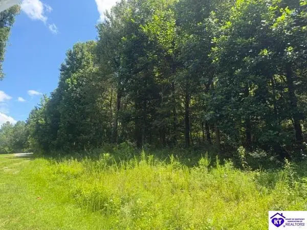 177 Bentwood Lane, Falls Of Rough, KY 40119