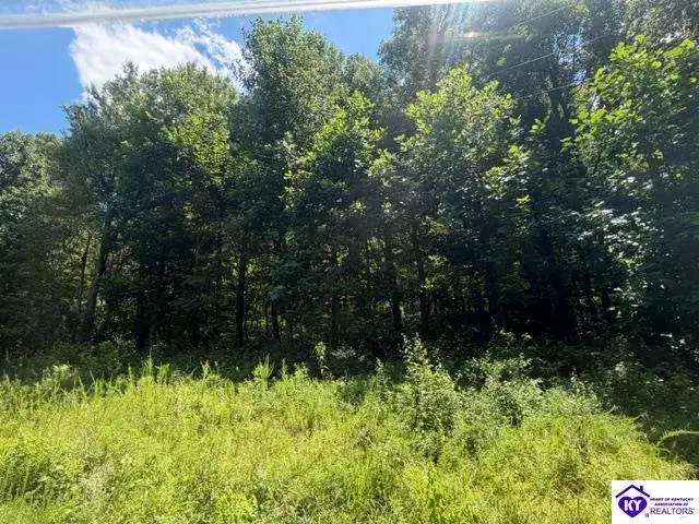 177 Bentwood Lane, Falls Of Rough, KY 40119 - #3