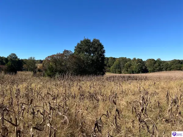 Ac Locust Grove Road, Bonnieville, KY 42713