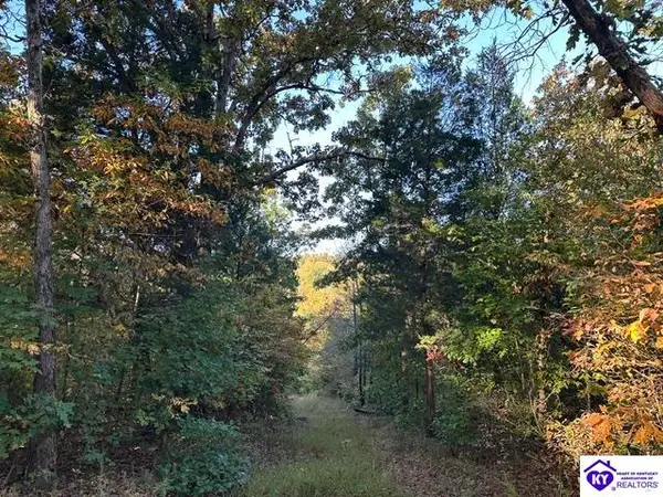 272 Valley Creek Road, Battletown, KY 40104