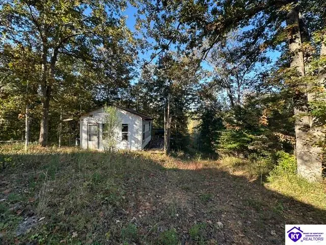 272 Valley Creek Road, Battletown, KY 40104 - #3