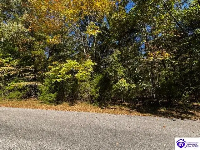 Lot 99 Waxwing Road, Brandenburg, KY 40108 - #1