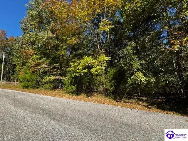 Lot 99 Waxwing Road, Brandenburg, KY 40108 - #3