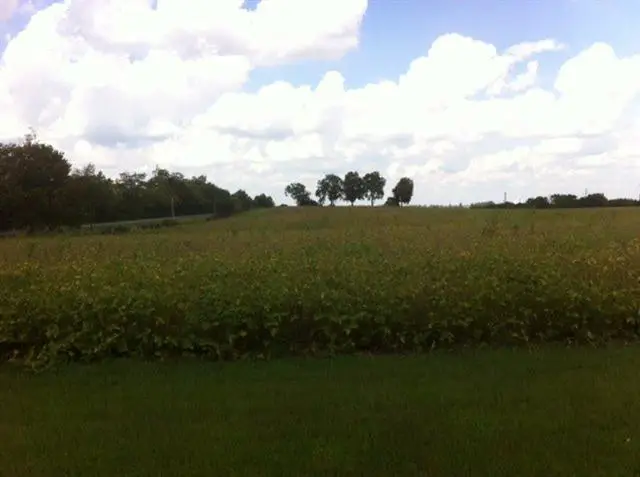 4700 Haley Downs Drive, Lexington, KY 40516 - Image #3