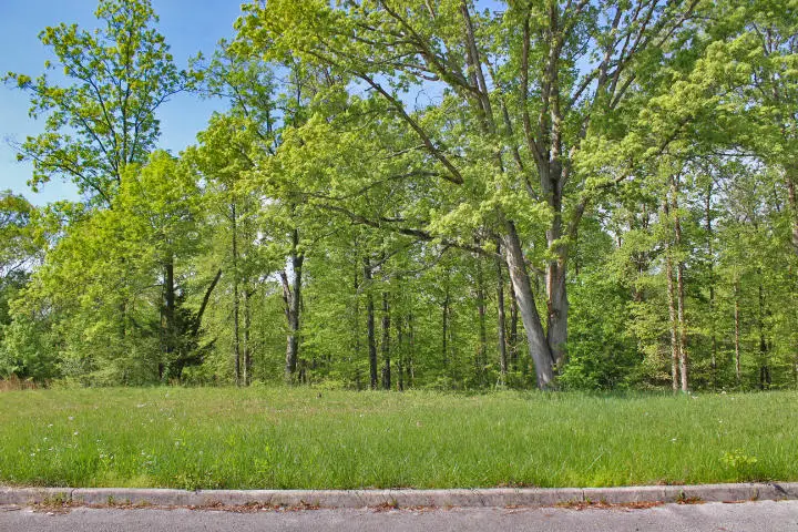 64 Lake Crest Drive, Somerset, KY 42503 - Image #3