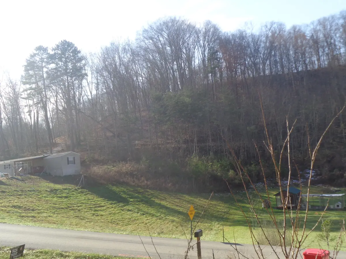 31 Freeman Branch Road, East Bernstadt, KY 40729 - Image #1