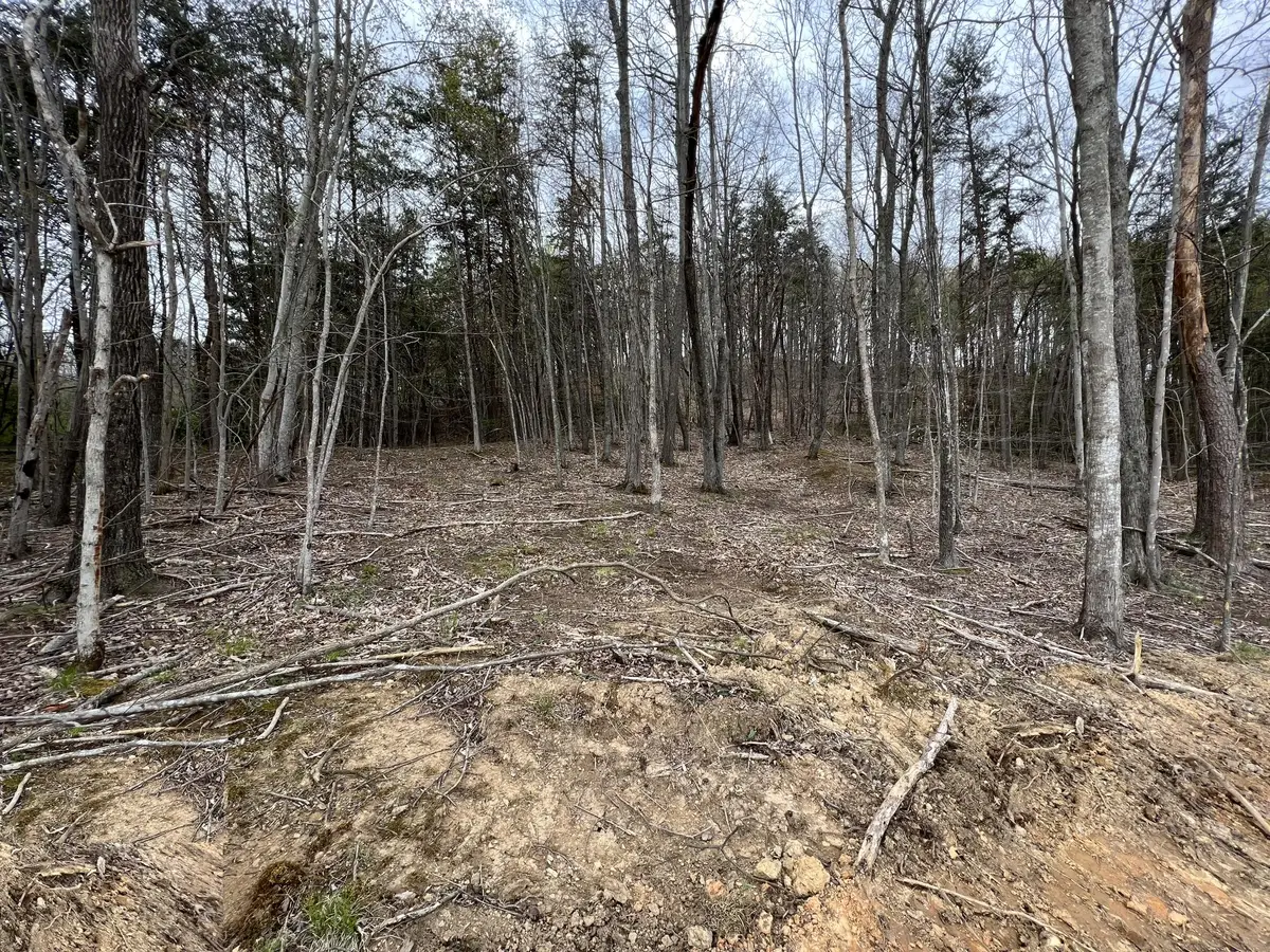 Lot #13 Laredo Drive, London, KY 40741 - Image #1