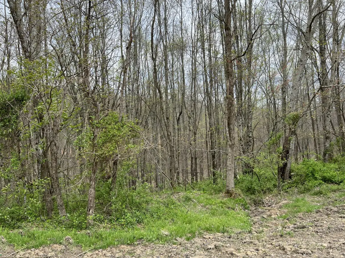 Lot #46 Laredo Drive, London, KY 40741 - Image #1