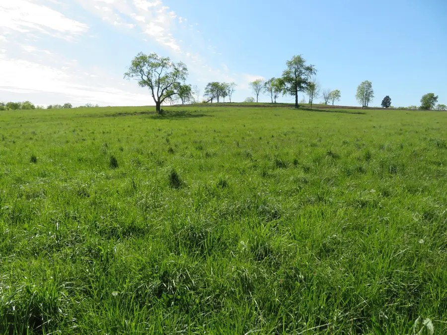 990 Craig Crossing Road, Winchester, KY 40391 - Image #2