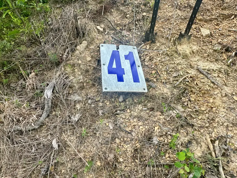 41 Malibu Drive, Corbin, KY 40701 - Image #3