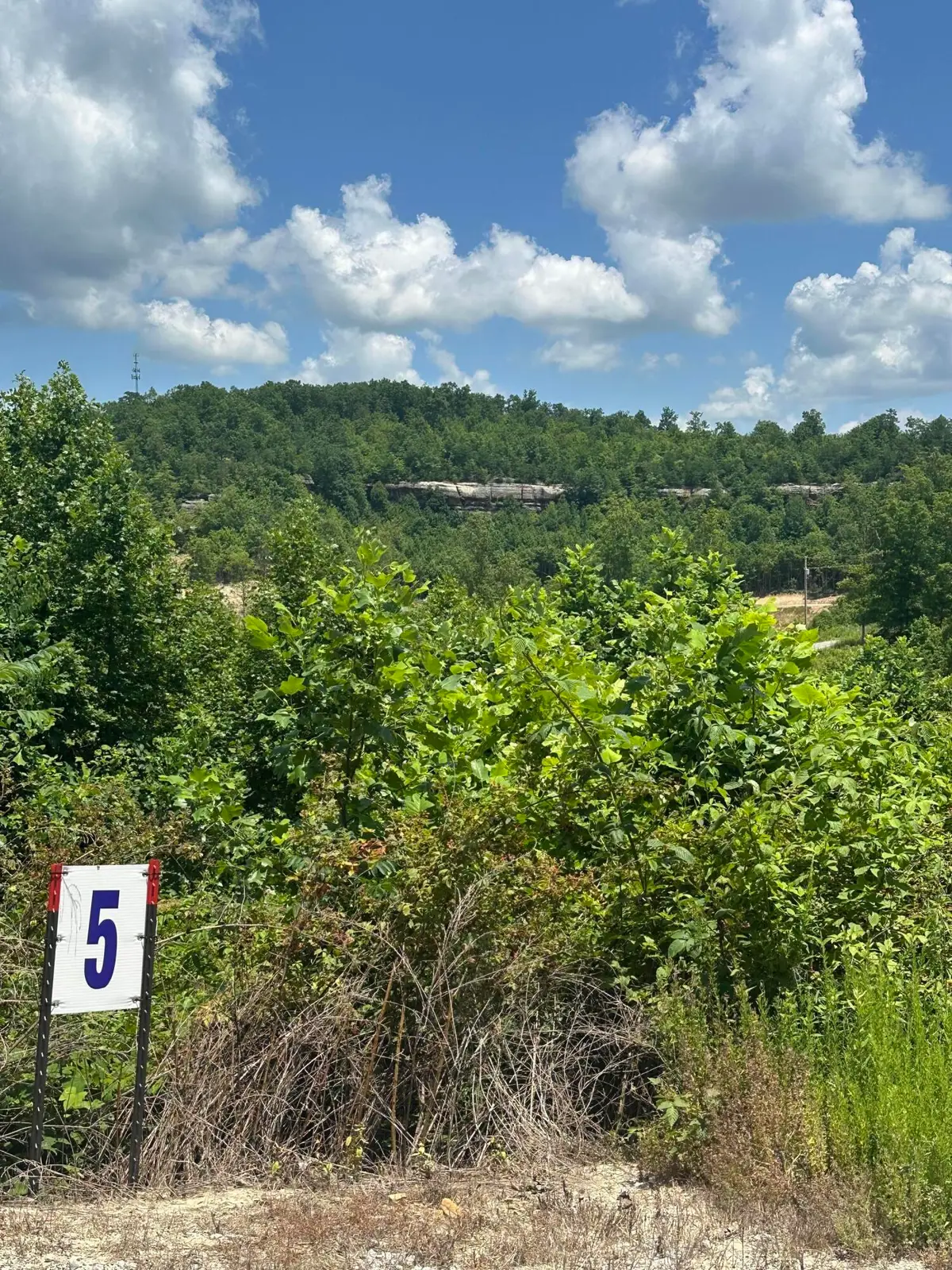 Lot 5 Sleepy Hollow Road, East Bernstadt, KY 40729 - Image #1