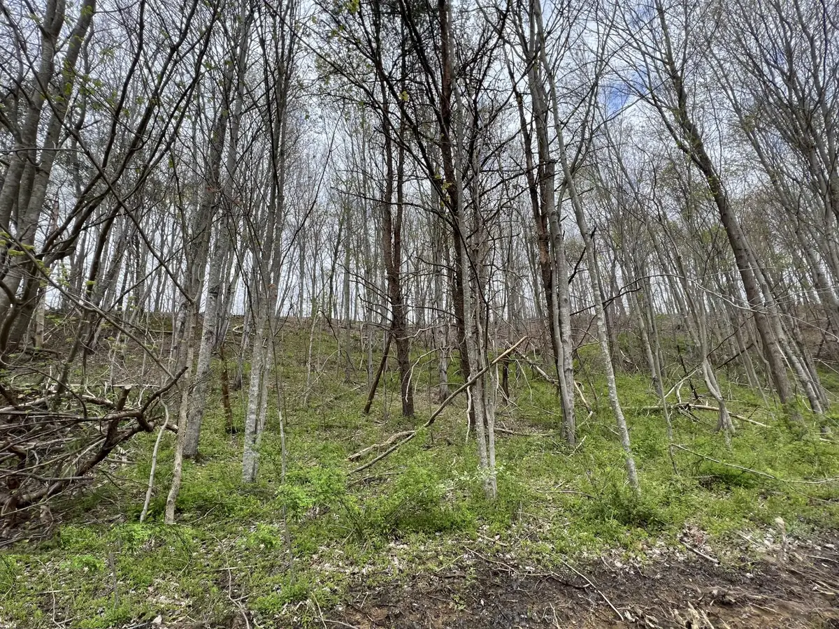 Lot #20 Laredo Drive, London, KY 40741 - Image #1