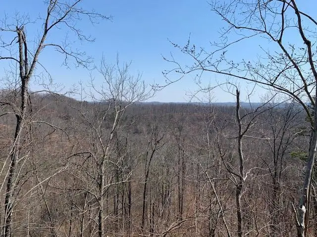 0000 Haney Branch Road, West Liberty, KY 41472 - Image #2