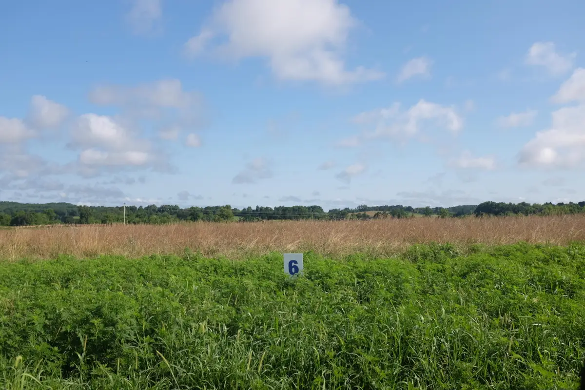 6 Squirrel Path, East Bernstadt, KY 40729 - Image #1