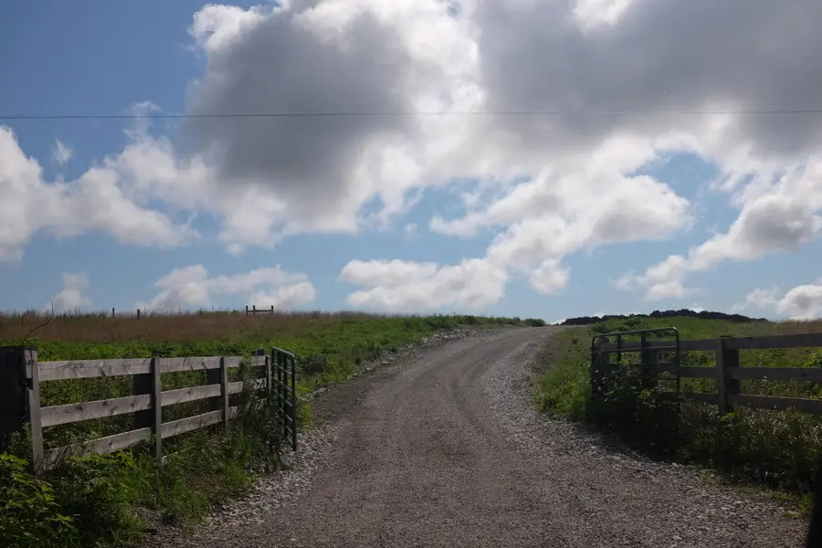 62 Dove Lane, East Bernstadt, KY 40729 - Image #3