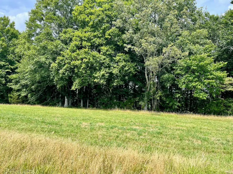 77 Meadows Loop, Russell Springs, KY 42642 - Image #3