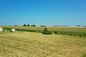 000 Foster Lane, Stanford, KY 40484 - Image #2