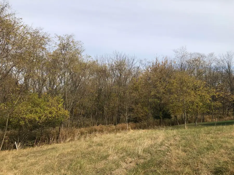 117 Windsong Way, Georgetown, KY 40324 - Image #3