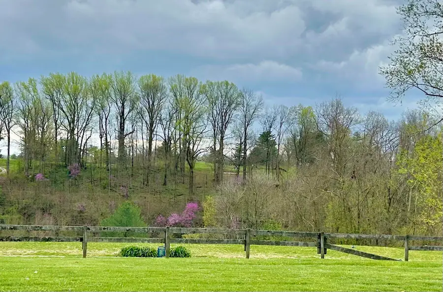 5, 6A & 6B Melrose Place, Somerset, KY 42503 - Image #2