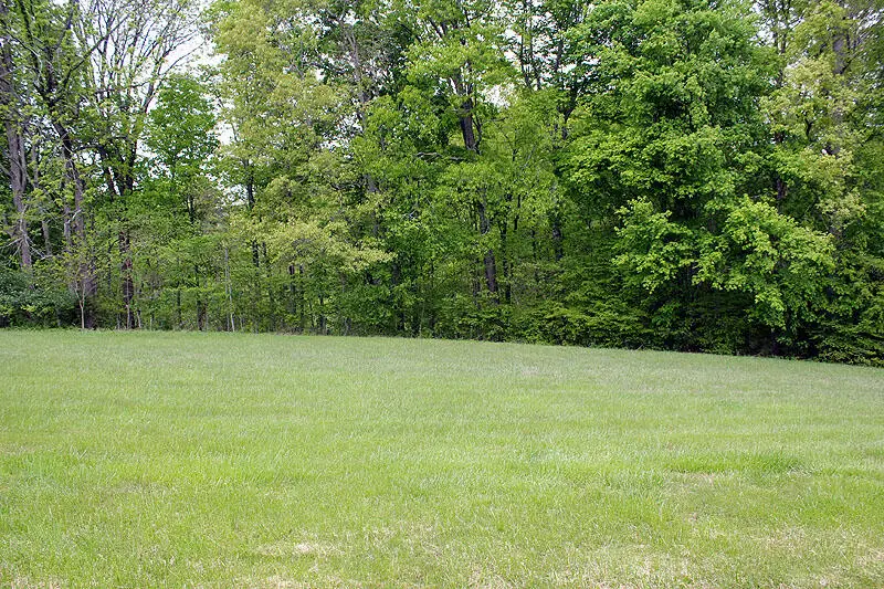Lot 35 Laurelwood, Nancy, KY 42544 - Image #3