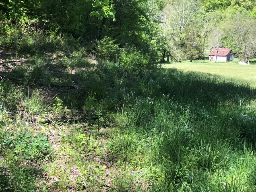 0 Chesnut Grove Road, Monticello, KY 42633 - Image #3