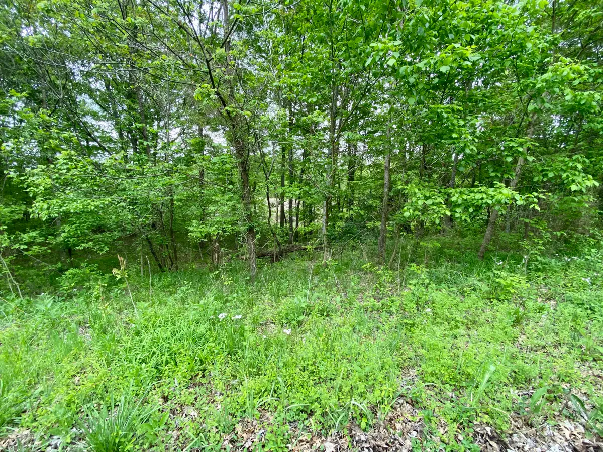 77 Lafayette Road, Caneyville, KY 42721 - Image #1