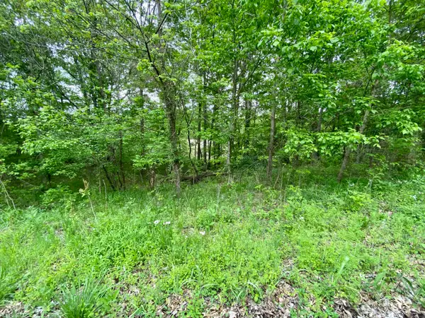 77 Lafayette Road, Caneyville, KY 42721