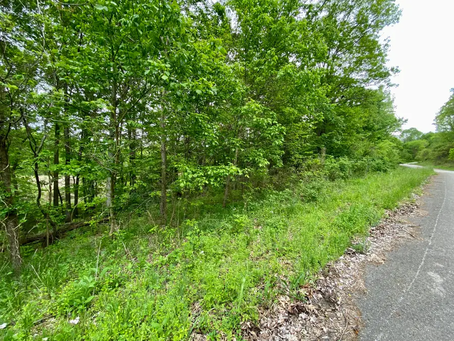 77 Lafayette Road, Caneyville, KY 42721 - Image #3