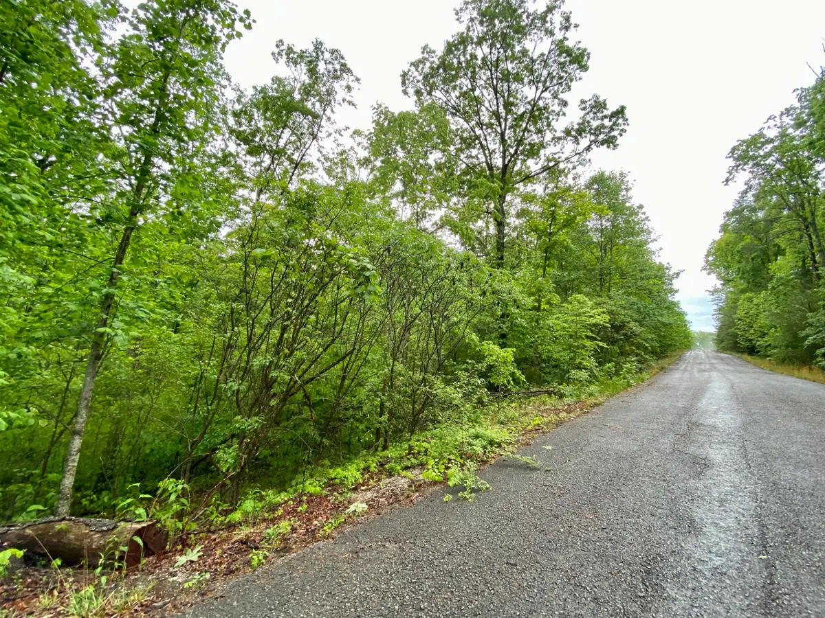 0 Boone Ridge Trail, Monticello, KY 42633 - Image #1