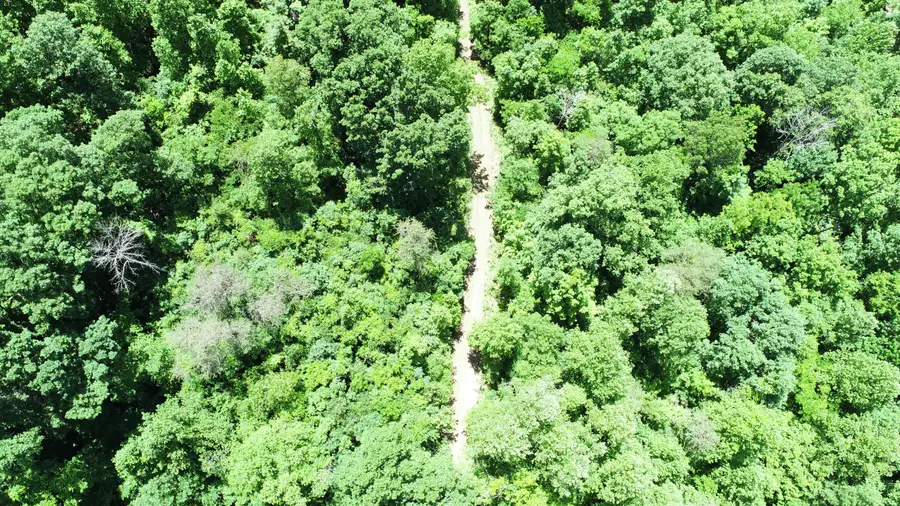 501 Jenkins Branch Road, Irvine, KY 40336 - #2