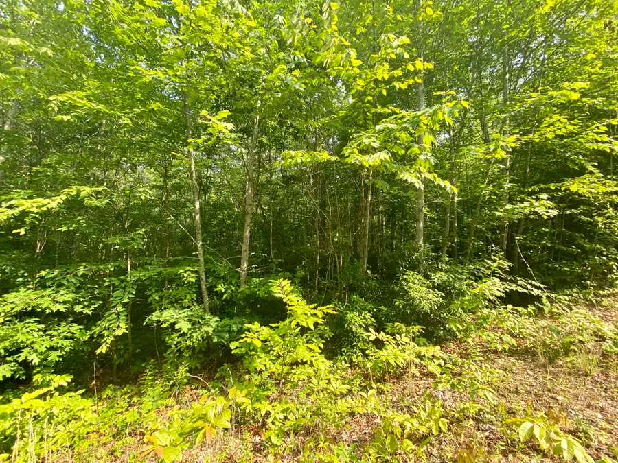 205 Farm House Lane, Miracle, KY 40856 - #3