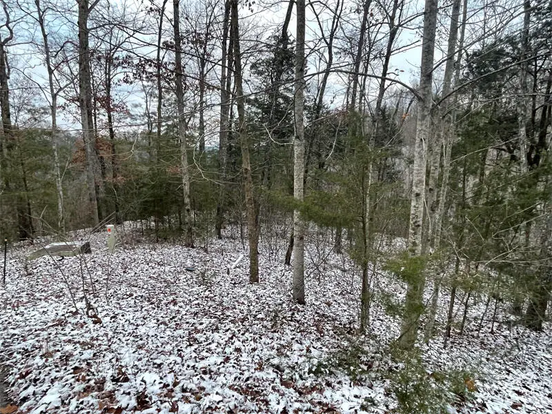 Lot 74 Sandstone Point, Monticello, KY 42633 - Image #3