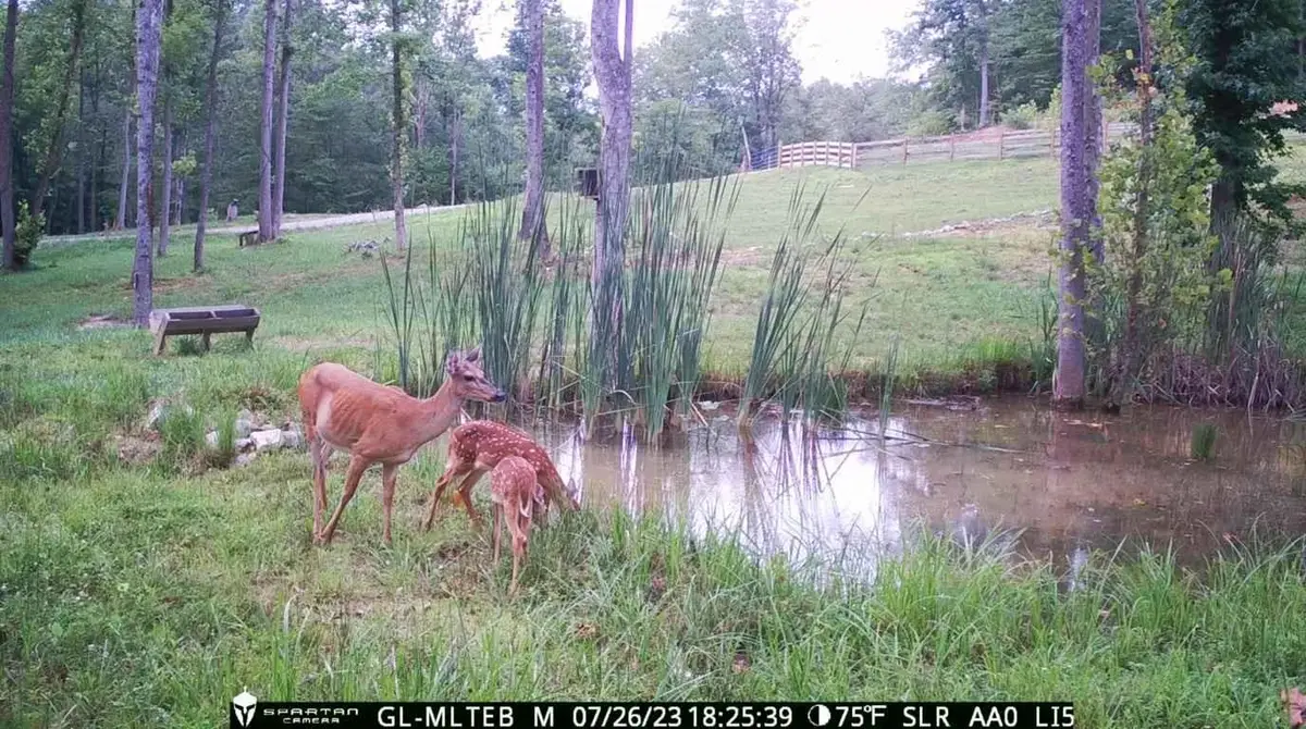 295 Falls Creek Way, Somerset, KY 42503 - Image #1