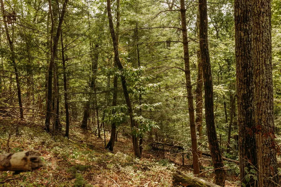 TBD Lot 18 Sandy Ridge Road, Campton, KY 41301 - Image #2