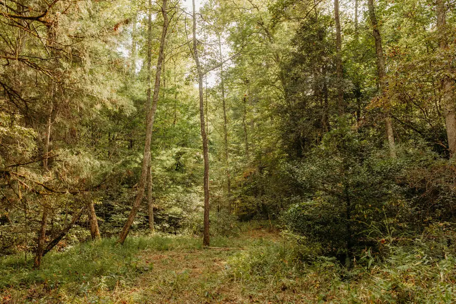 TBD Lot 34 Sandy Ridge Road, Campton, KY 41301 - Image #3