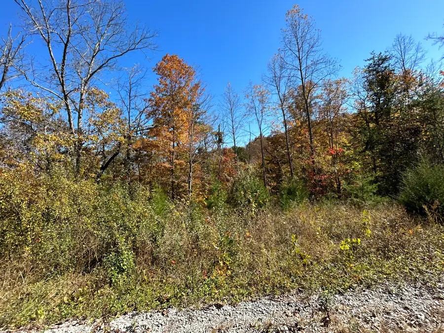 Lot #4 Buck Creek Circle, Somerset, KY 42501 - #2