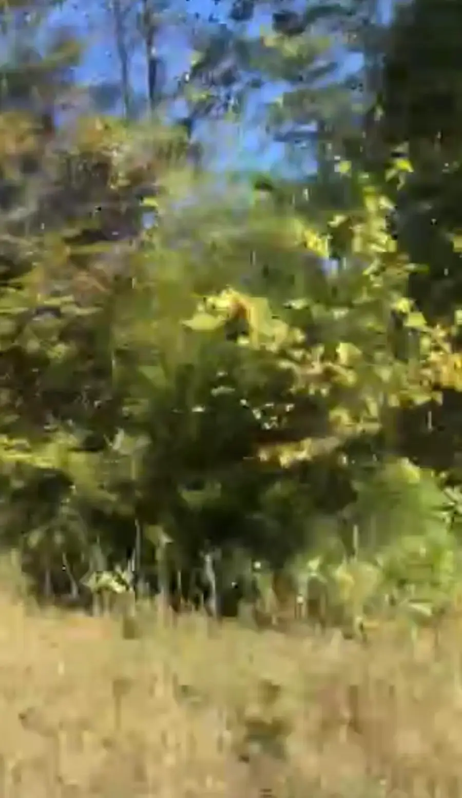 Lot #35 Buck Creek Circle, Somerset, KY 42501 - #2