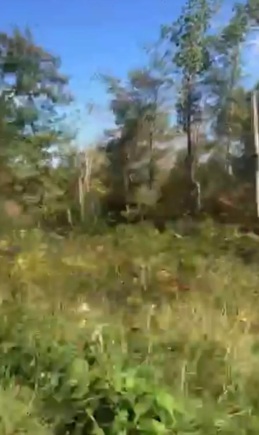 Lot # 39 Buck Creek Circle, Somerset, KY 42501 - #2