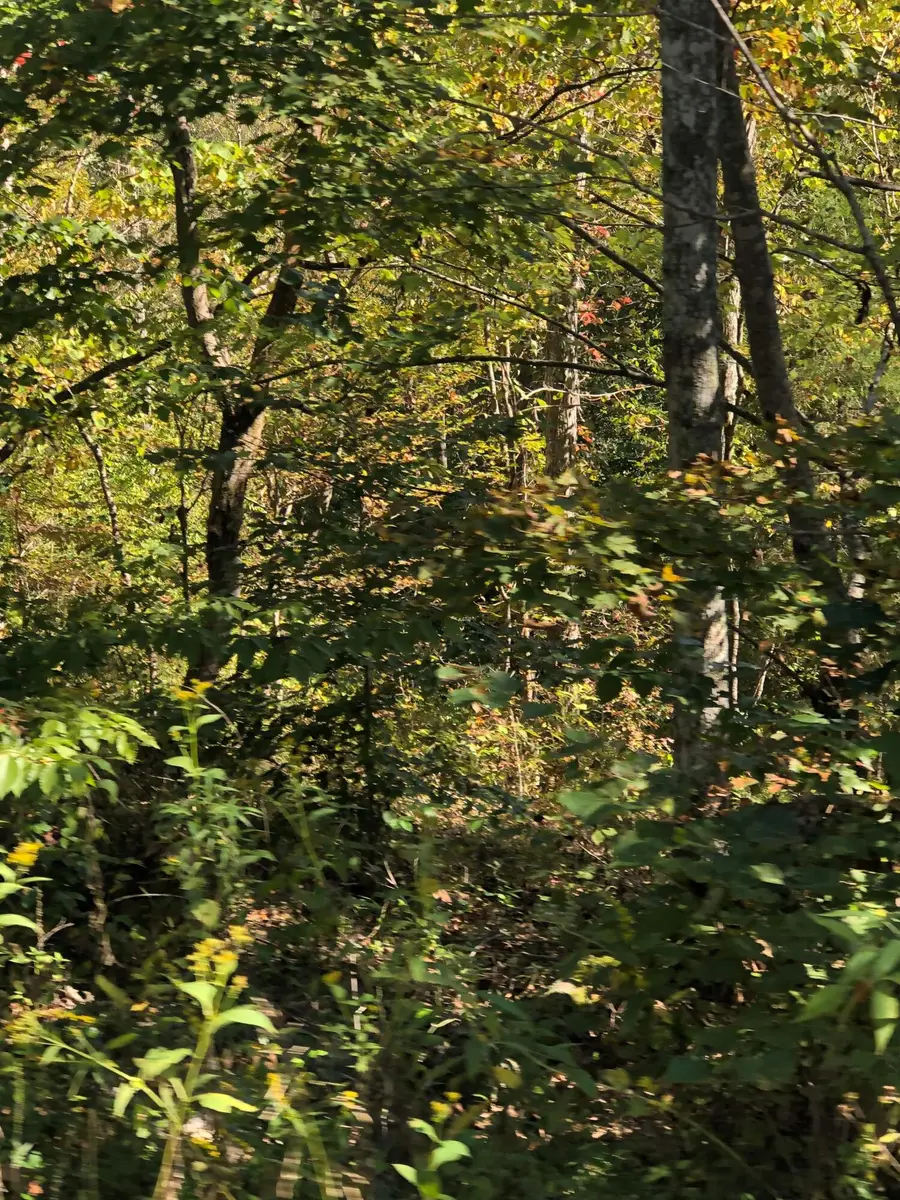 Lot # 38 Buck Creek Circle, Somerset, KY 42501 - #2