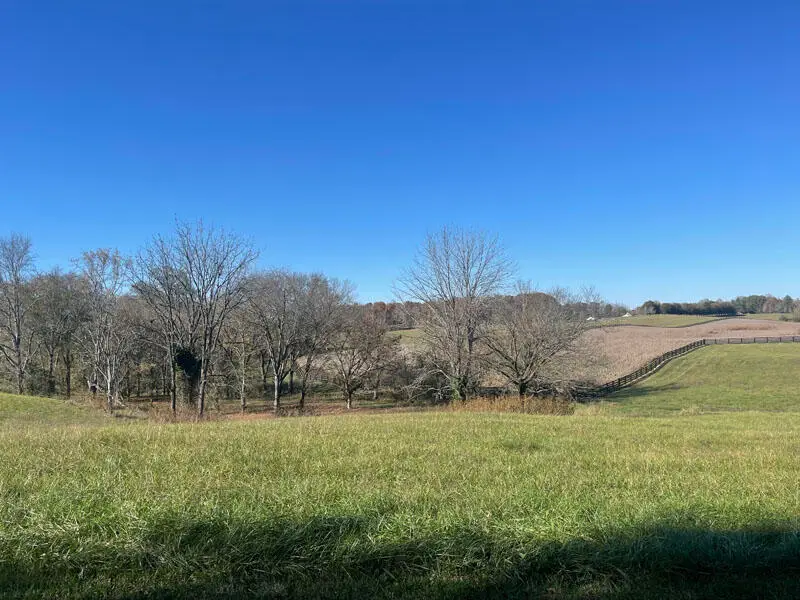 Lot 86 Edgewater, Russell Springs, KY 42642 - Image #2