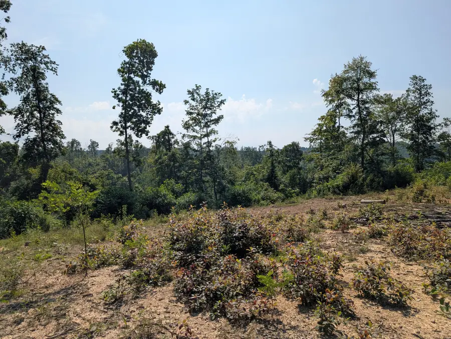 0 New Hope Tower Road, Mount Vernon, KY 40456 - Image #2