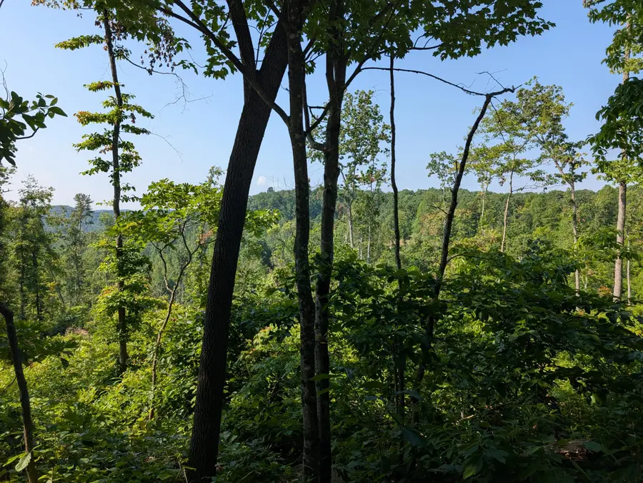 0 New Hope Tower Road, Mount Vernon, KY 40456 - Image #3