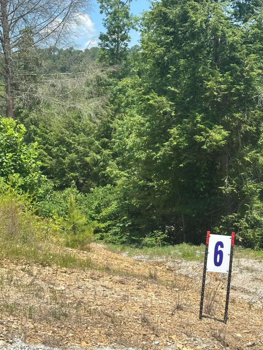 Lot 6 Sleepy Hollow Road, East Bernstadt, KY 40729 - Image #3