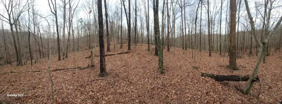 3504 East Fork Road, Means, KY 40346 - Image #2