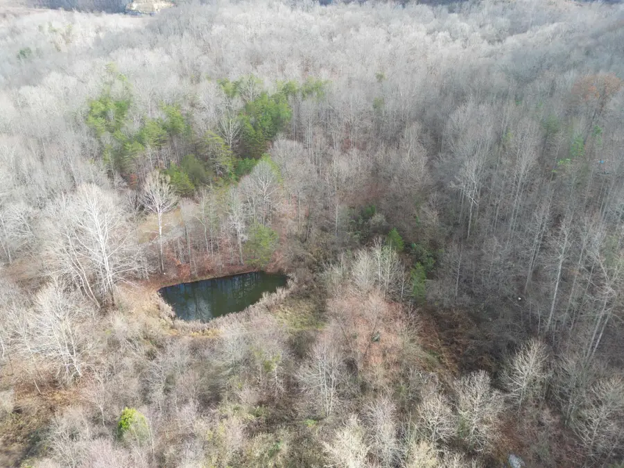 7568 Highway 26, Rockholds, KY 40759 - Image #3