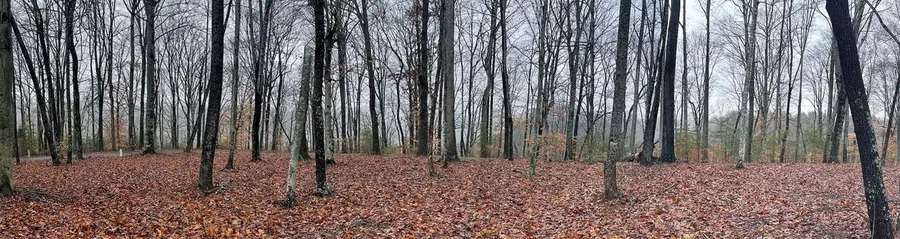 Lot 87 Stillwater, Russell Springs, KY 42642 - Image #2