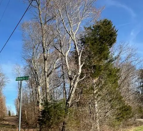 00 Ky-196 & D Johnson Road Road, Nancy, KY 42544