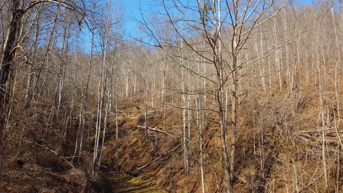 981 Meat Scaffold Road, Jackson, KY 41339 - Image #1