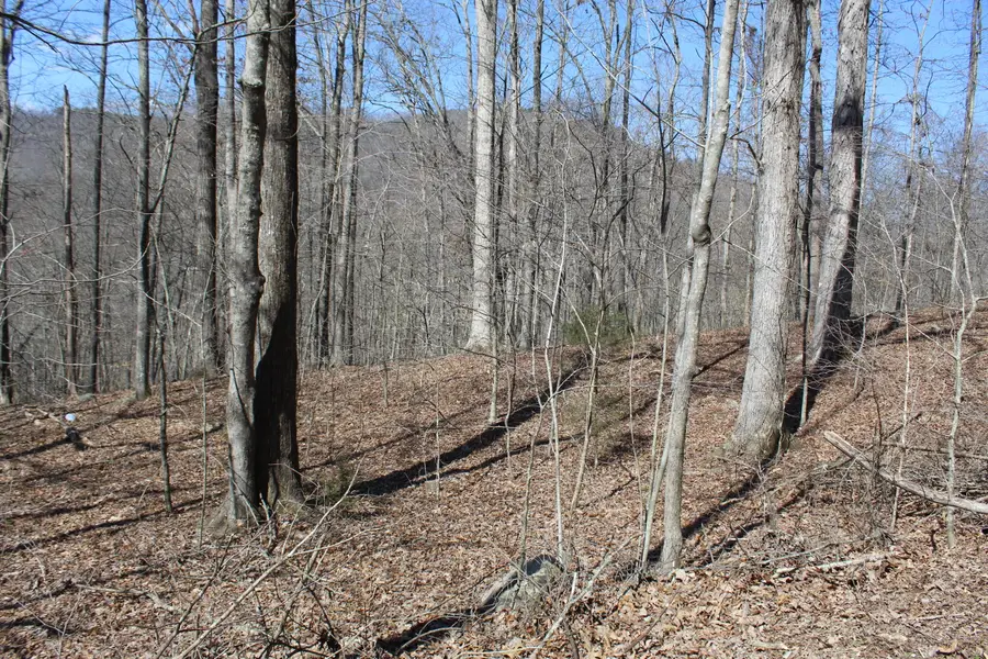 9999 Sams Mountain Road, Middlesboro, KY 40965 - Image #2